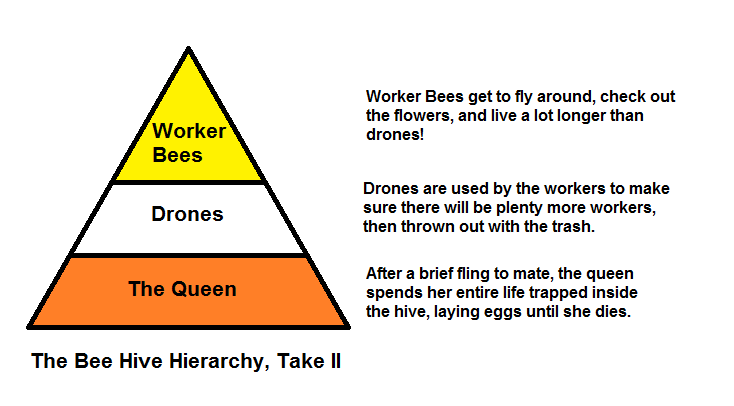Bee Hive Hierarchy II