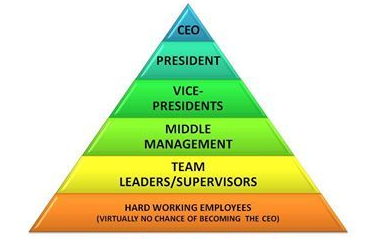 CEO Pyramid